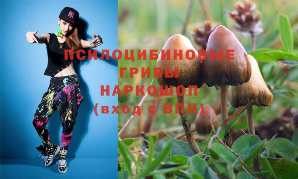 СК Лиски