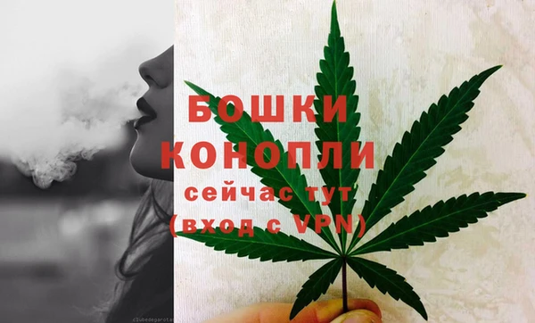 ECSTASY Павловск