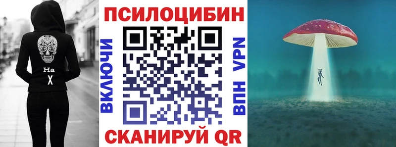 где продают   Суздаль  Псилоцибиновые грибы мицелий 